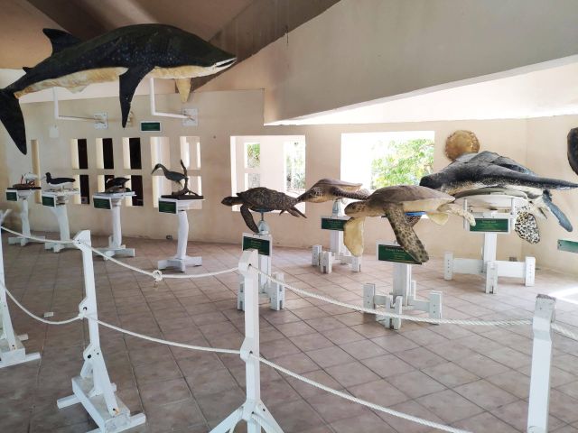 Contoy Museum